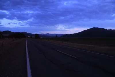 DSC_1842 (Large).JPG